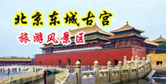 大鸡巴男操女的逼免费中国北京-东城古宫旅游风景区